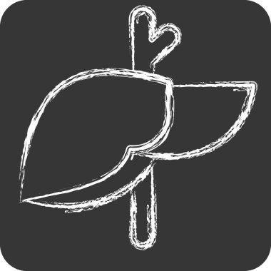 İkon Hepatoloji. Tıbbi Uzmanlık Sembolü ile ilgili. Tebeşir stili. Basit tasarım çizimi