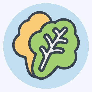 İkon Marul. Meyve ve Sebze Sembolü ile ilgili. renk arkadaşı stili. düzenlenebilir