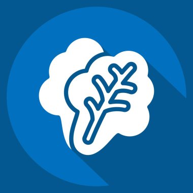 İkon Marul. Meyve ve Sebze Sembolü ile ilgili. Uzun gölge tarzı. düzenlenebilir