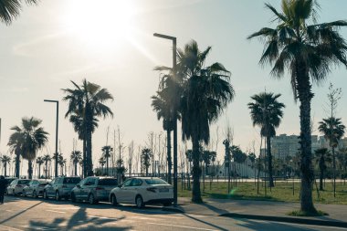 Durres, Arnavutluk - 13 Nisan 2024 - Durres şehir caddesi manzarası ve palmiye ağaçları ve park edilmiş bazı araçlar. Yüksek kalite fotoğraf