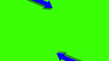 Öngörülü bir çiçeğin deseni