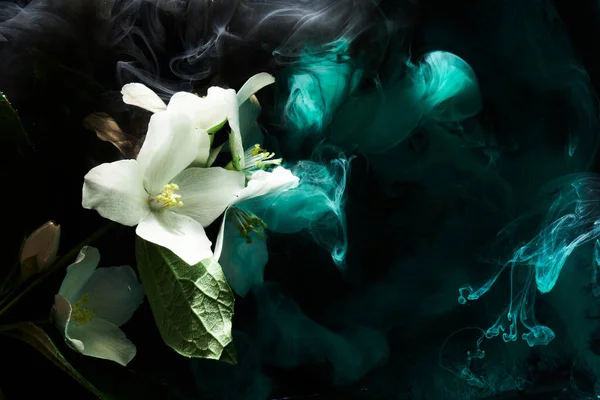 Abstract Green Background Flowers Paints Water Backdrop Perfume Cosmetic Products — Stock Photo, Image