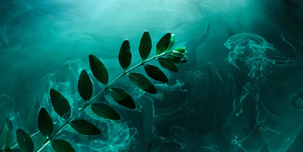 Fundo Verde Abstrato Com Folhas Tintas Água Fundo Para Perfume — Fotografia de Stock