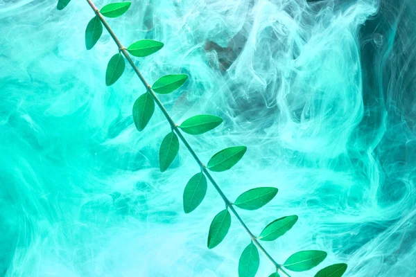 Suyun Içinde Yapraklar Boyalar Olan Soyut Yeşil Arkaplan Parfüm Kozmetik — Stok fotoğraf