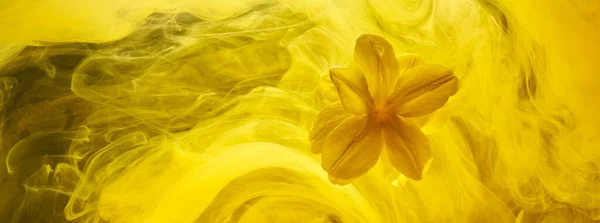 Abstract Gele Achtergrond Met Bloemen Verf Water Achtergrond Voor Parfum — Stockfoto
