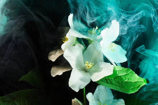 Abstrakter Grüner Hintergrund Mit Blumen Und Farben Wasser Hintergrund Für — Stockfoto