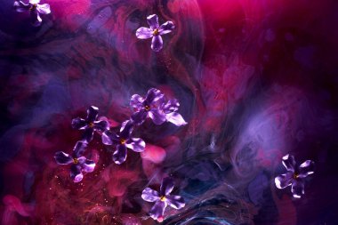 Soyut mor arka planda çiçekler ve suda boyalar. Parfüm ve kozmetik ürünleri için fon