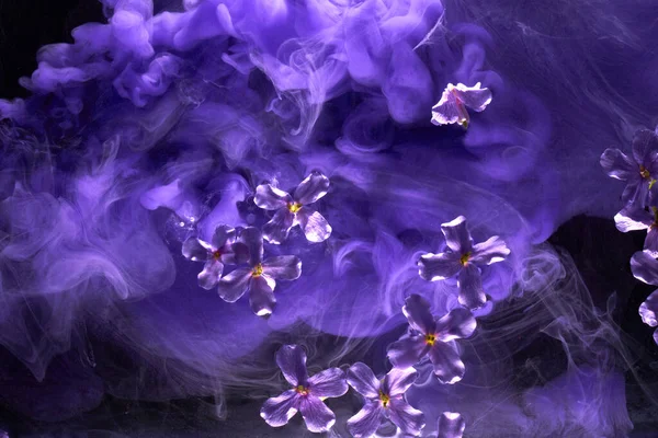 抽象紫色のライラックの背景と水に花や塗料 化粧品製品のバックアップ — ストック写真