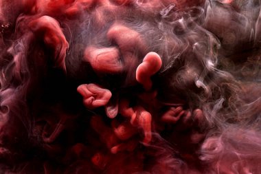 Kırmızı siyah mürekkep soyut arka plan. Parfüm, nargile ve kozmetik ürünleri için akrilik boya arka planı. Gizemli duman bulutları, renkli sis