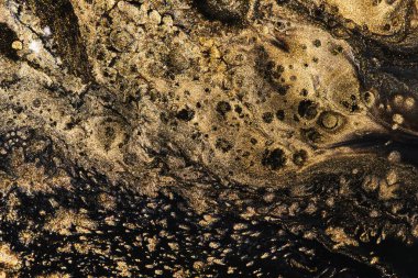 Luxury abstract background, liquid art. Black gold paint mix, alcohol ink blots, marble texture. Modern print pattern