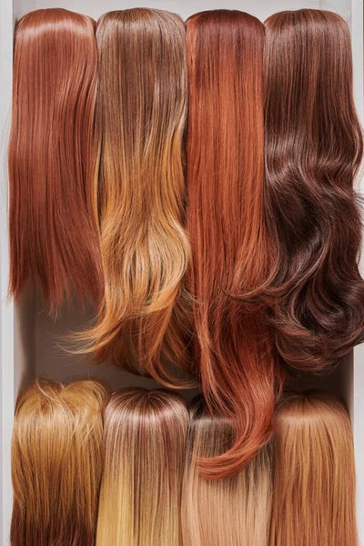 Showcase of natural looking wigs in different shades of brunette fixed on the wig holders in beauty salon. Row of mannequin heads with variation colors hair on shelf in wig shop