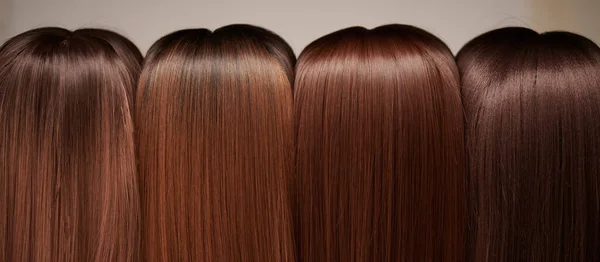 Showcase of natural looking wigs in different shades of brunette fixed on the wig holders in beauty salon. Row of mannequin heads with variation colors hair on shelf in wig shop