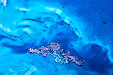 Soyut mavi renk arkaplanı. Çok renkli sıvı sanatı. Dalgalar, sıçramalar ve lekeler akrilik alkol mürekkebi, suyun altında boya.