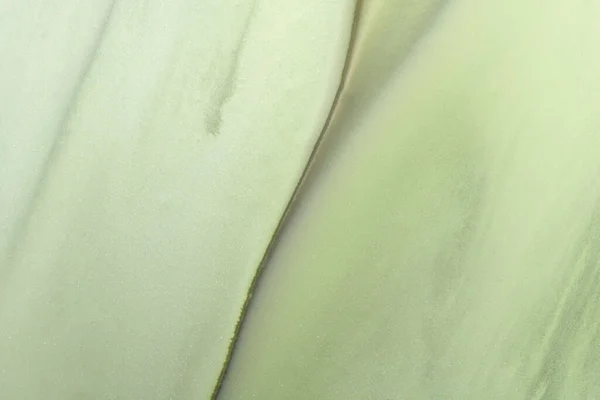 Fondo Humo Abstracto Color Verde Mezclar Tinta Alcohol Arte Líquido — Foto de Stock
