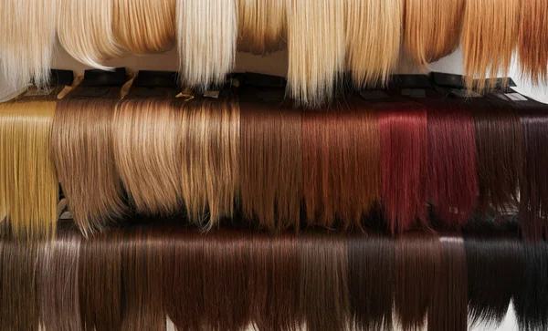 Showcase of natural looking wigs in different colors in beauty salon, variation shades of hair on shelf in wig shop