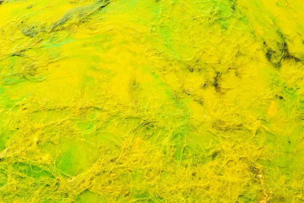多色の創造的な抽象的な背景 アクリル絵具の質感 アルコールインクの黄色の色の汚れや塊 流体の耳 — ストック写真