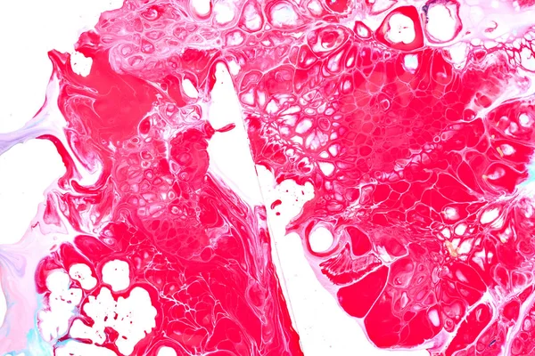 白い紙の上に絵の具が落ちます 多色爆発 ピンクの赤マゼンタインクブロック抽象的な背景 流体芸術 — ストック写真