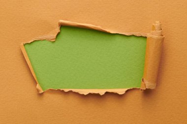 Yırtık kenarlı yırtık kağıt çerçevesi. Fotokopi alanı yeşil kahverengi renkler, not defteri sayfalarının parçalarını içeren metin penceresi. Soyut arka gruplandırma