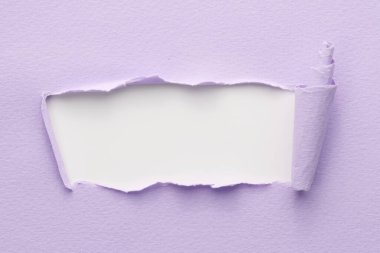 Yırtık kenarlı yırtık kağıt çerçevesi. Metni kopyalamak için pencere eflatun beyaz renkler, defter sayfalarının parçaları. Soyut arka gruplandırma