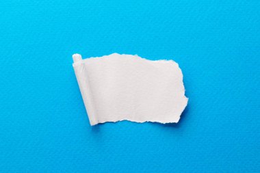 Yırtık kenarlı kağıt parçalarından sanat kolajı. Yapışkan notlar mavi beyaz renkler topluyor, defter sayfalarının parçalarını. Soyut arka gruplandırma