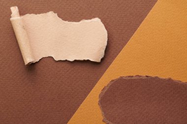 Yırtık kenarlı kağıt parçalarından sanat kolajı. Yapışkan notlar kahverengi renkler, defter sayfalarının parçalarını topluyor. Soyut arka gruplandırma