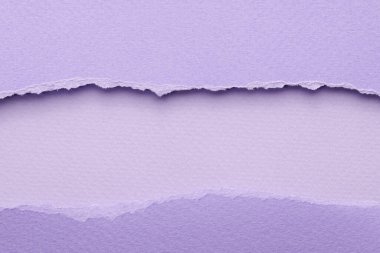 Yırtık kenarlı kağıt parçalarından sanat kolajı. Yapışkan notlar eflatun renkleri topluyor, defter sayfalarının parçalarını topluyor. Soyut arka gruplandırma