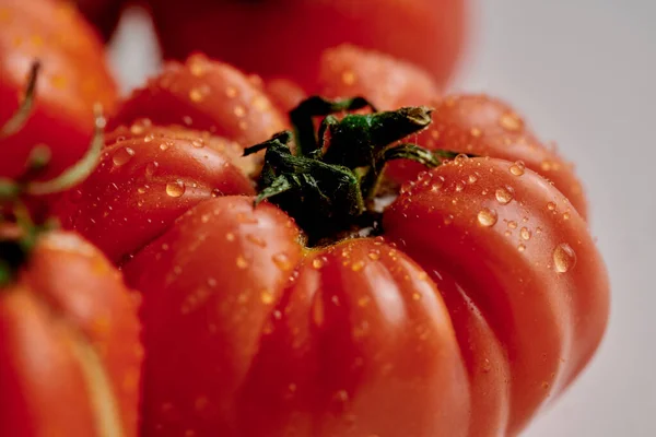 Red Fresh Tomatoes Isolated White Background Eco Organic Vegetables Seasonal — Stock Photo, Image