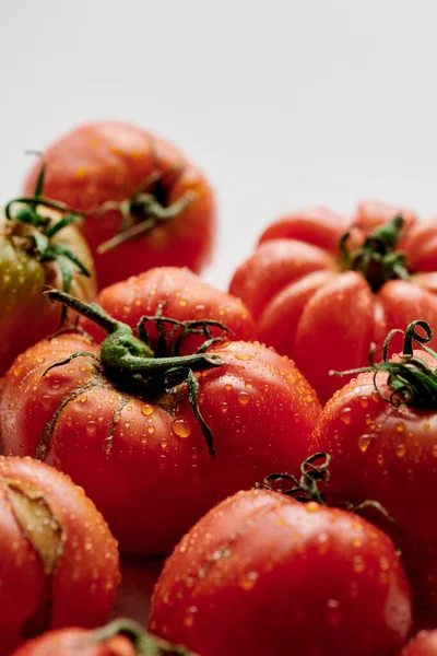 Tomates Rojos Frescos Aislados Sobre Fondo Blanco Verduras Ecológicas Cosecha —  Fotos de Stock
