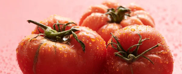 Red Fresh Tomatoes Isolated Red Background Eco Organic Vegetables Seasonal — Stock Photo, Image