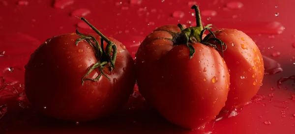Tomates Vermelhos Frescos Isolados Fundo Vermelho Produtos Hortícolas Ecológicos Colheita — Fotografia de Stock