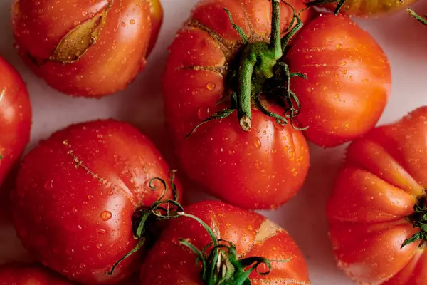 红色新鲜西红柿 白色背景分离 生态有机蔬菜 季节性收获 — 图库照片