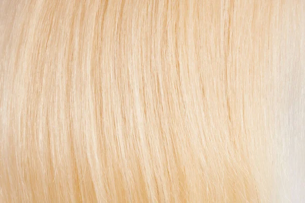 Γκρο Πλαν Άποψη Του Φυσικού Λαμπερά Μαλλιά Δέσμη Των Δίκαιη — Φωτογραφία Αρχείου