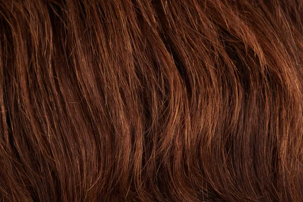 Крупним Планом Вид Природне Сяюче Волосся Купа Темних — стокове фото