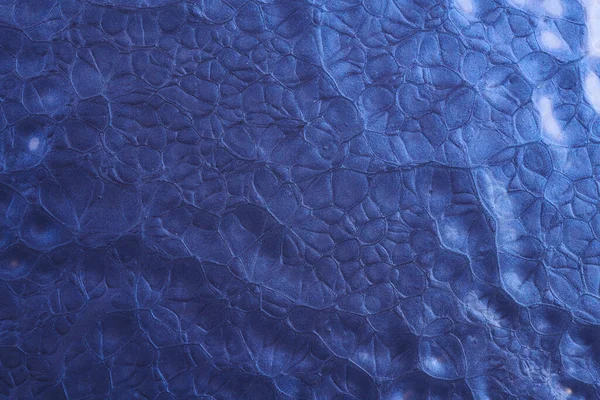 Fond Couleur Bleu Créatif Art Fluide Backgroun Imprimé Acrylique Abstrait — Photo