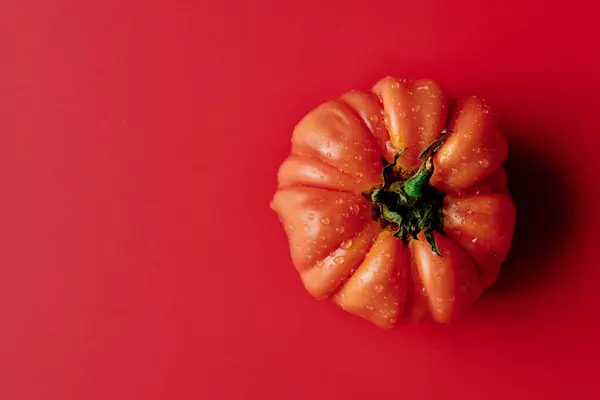 Rote Frische Tomaten Isoliert Auf Rotem Hintergrund Bio Gemüse Saisonale — Stockfoto