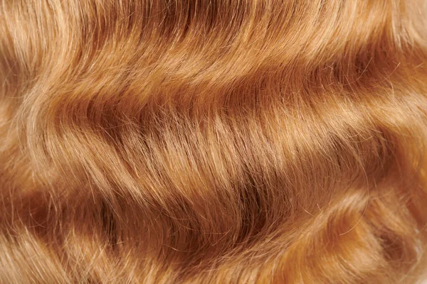 Close-up view of natural shiny hair, bunch of fair blonde curls background