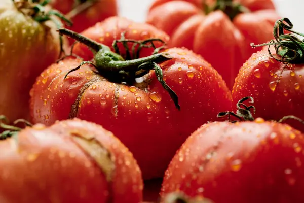 红色新鲜西红柿 白色背景分离 生态有机蔬菜 季节性收获 — 图库照片