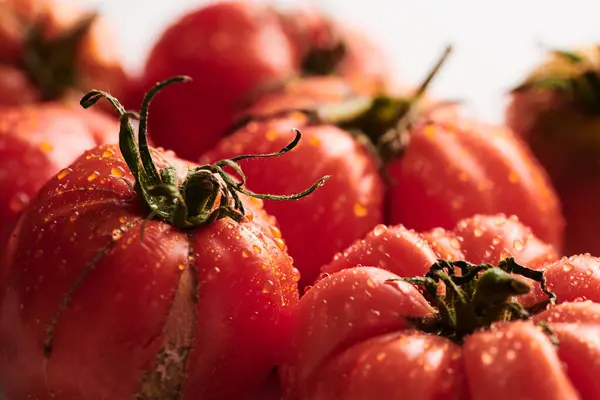 Красные Свежие Помидоры Изолированы Белом Фоне Экологические Овощи Сезонный Урожай — стоковое фото