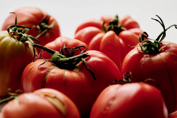 Rode Verse Tomaten Geïsoleerd Witte Achtergrond Eco Biologische Groenten Seizoensgebonden — Stockfoto
