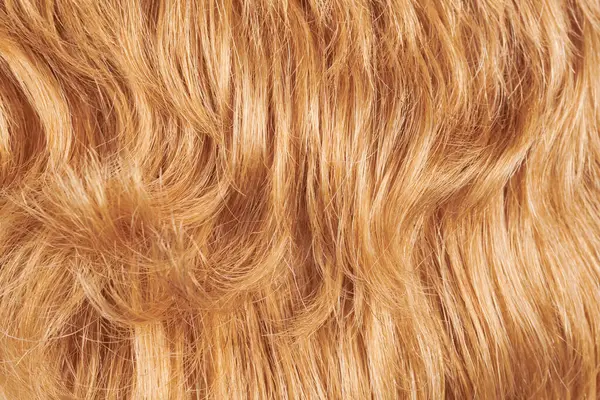 Close View Natural Shiny Hair Bunch Fair Blonde Curls Background — Stock Photo, Image