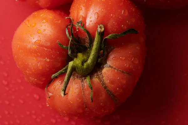 红色新鲜西红柿 背景为红色 生态有机蔬菜 季节性收获 — 图库照片