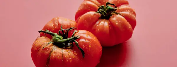 Tomates Rojos Frescos Aislados Sobre Fondo Rojo Verduras Ecológicas Cosecha —  Fotos de Stock