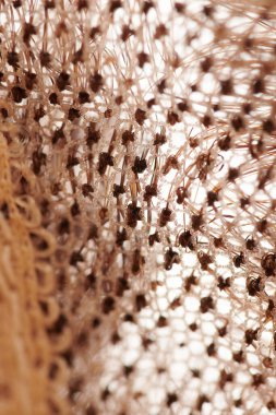 Doğal görünümlü sarı peruk yakın çekim detayları, doğal saç, uzatma sistemi.