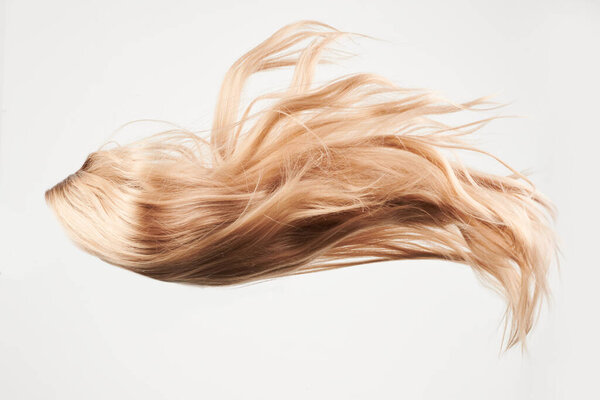 Естественный глядя блестящие волосы, светлые светлые кудри изолированы на белом фоне с копировальным пространством