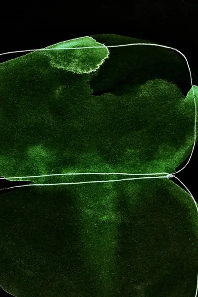 Schwarz Grüner Abstrakter Hintergrund Bunte Tintenkleckse Und Flecken Tapetendruck Kreativer — Stockfoto