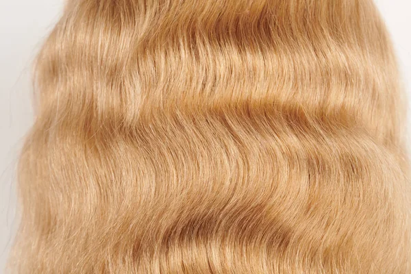 Φυσικό Λαμπερό Μαλλιά Δίκαιη Ξανθιά Μπούκλες Που Απομονώνονται Λευκό Φόντο — Φωτογραφία Αρχείου