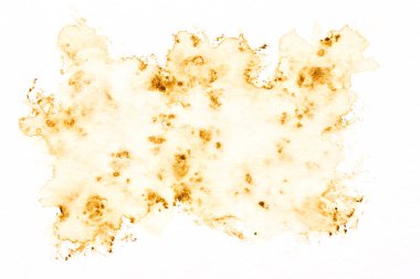 Soyut sıvı sanat arka planı. Kahverengi suluboya beyaz kağıt üzerinde şeffaf lekeler