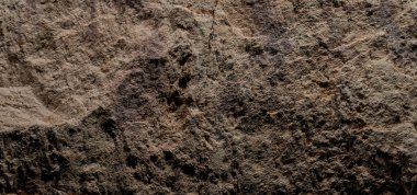 Kahverengi taş dokusu, koyu soyut arkaplan. Doğal mineral kaya detayları kapat, tasarım için kopya alanı olan boş arkaplan
