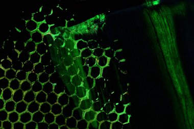 Soyut yeşil arka plan. Kartlar, giysiler, afişler, koyu zıt renkteki duvar kağıtları için desen