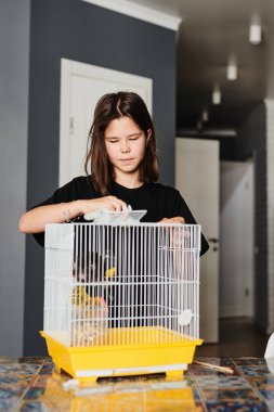 Komik bir yerli sıçan kafesinde sahibinin yanında oturuyor.